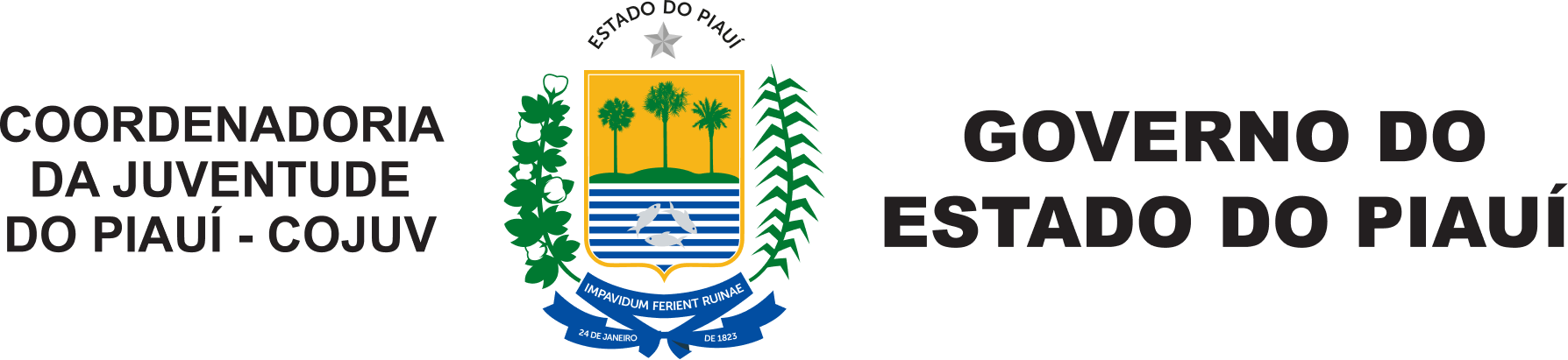 Logo Coordenadoria da Juventude do Estado do Piauí – COJUV Período Eleitoral